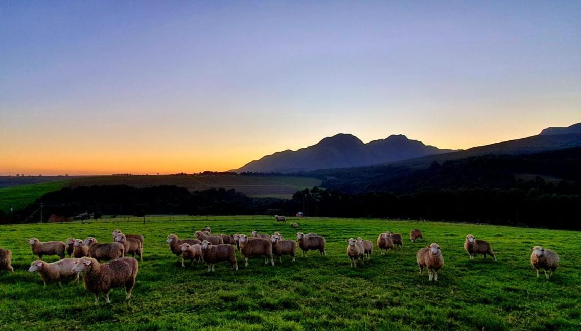 Prospect Farm Cottages ジョージ エクステリア 写真