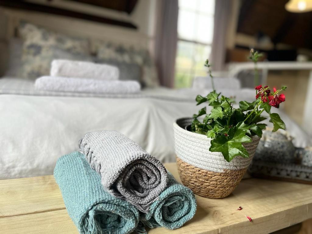 Prospect Farm Cottages ジョージ エクステリア 写真